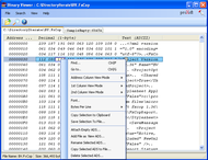Binary Viewer screenshot